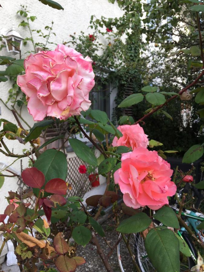 Vintage-Mansarde Uber Wilden Garten シュトゥットガルト エクステリア 写真