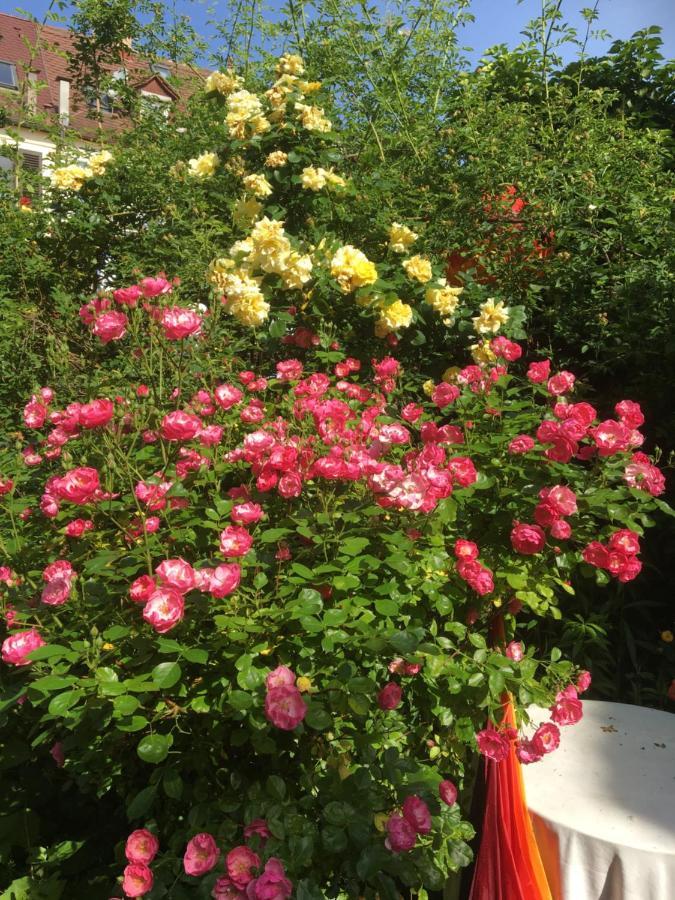 Vintage-Mansarde Uber Wilden Garten シュトゥットガルト エクステリア 写真